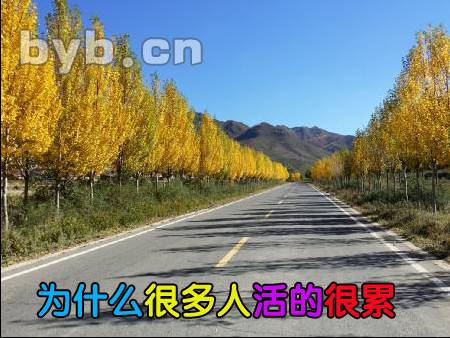byb.cn 為什么很多人活的很累?