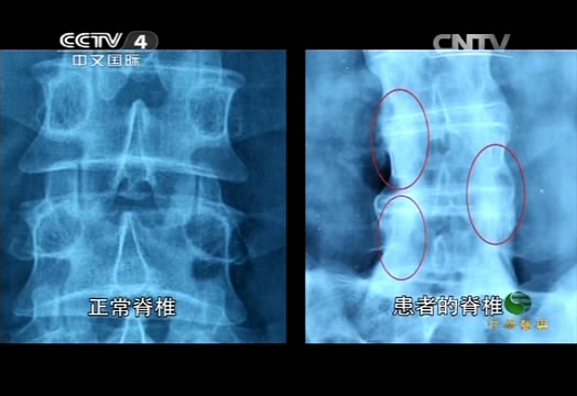 byb.cn byb.cn